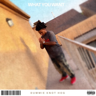 What You Want (feat. Campaign Maka) - Single
