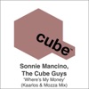 Sonnie Mancino & The Cube Guys