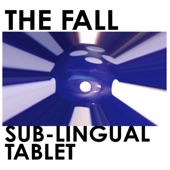 The Fall - Junger Cloth