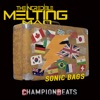 Sonic Bags - Single