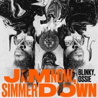 Jam Now, Simmer Down - Single - Blinky Bill