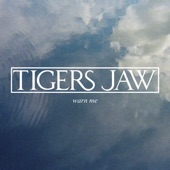 Tigers Jaw - Warn Me