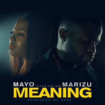Meaning (feat. Marizu) - Single