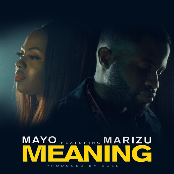Meaning (feat. Marizu)