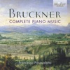 Anton Bruckner Andante in D Minor Bruckner: Complete Piano Music