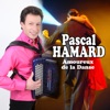 Pascal Hamard - Au Saloon