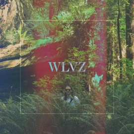 Wlvz Quantinium