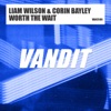 Worth The Wait - Single