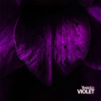 Violet - Single - Yan Solo
