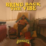 The Pinholes - Bring Back the Vibe