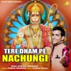 Tere Dham Pe Nachungi (feat. Anil Tilakdhari) - Single