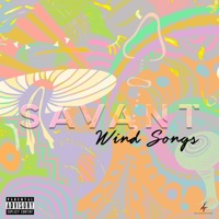 Light Speed - Single - KC Savant