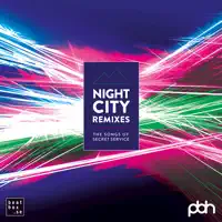 Flash In The Night (OctoLab Remix) — Rational Youth