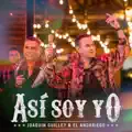 Asi soy yo