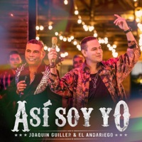 Así Soy Yo - Single - Joaquin Guiller & El Andariego
