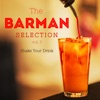 Didier Caron Jazz Acide The Barman Selection Vol. 3: Shake Your Drink