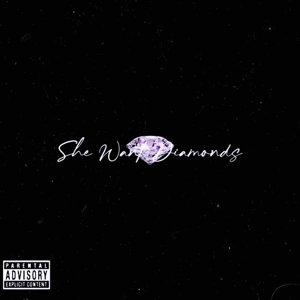 Обложка альбома «She Want Diamonds - Single» — MoneyMajah