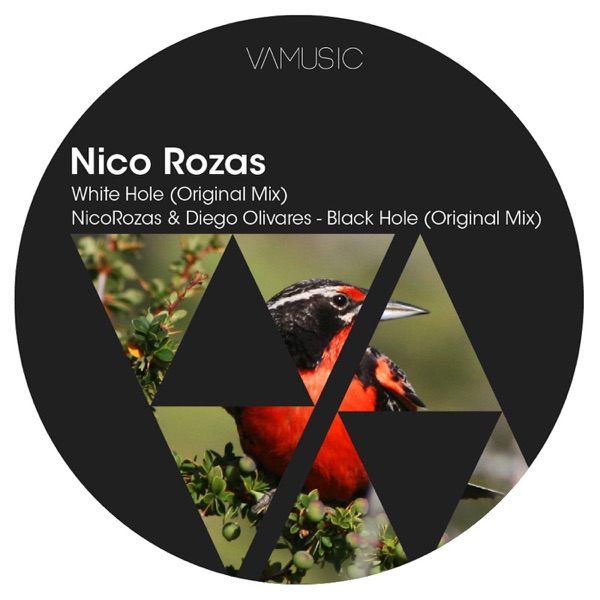 White Hole - Single