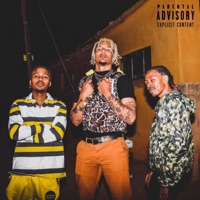 Cardiac (feat. Mellow & Ecco) - Single - LaFreshman