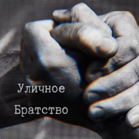 Уличное братство (feat. Триада) - Single - Львиная доля