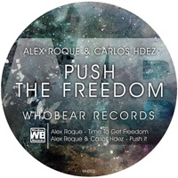 Push the Freedom - Single - Alex Roque & Carlos Hdez