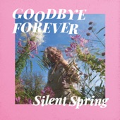 Silent Spring (feat. Ellen Kibble) - EP artwork