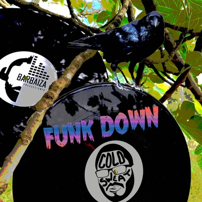Funk Down (feat. Barbaiza) - Single