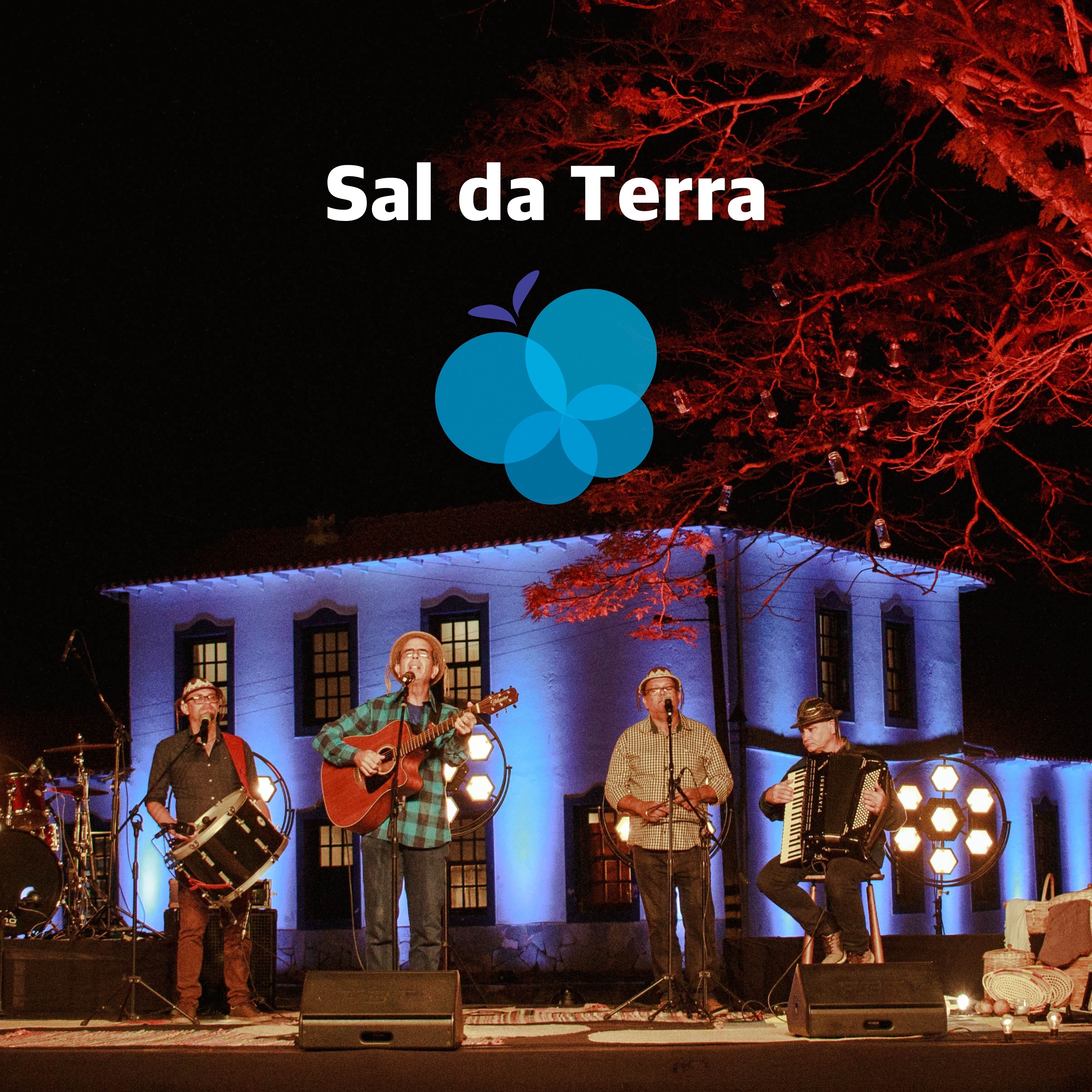 Sal da Terra