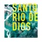 Santo Río de Dios artwork