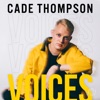 Voices - Single