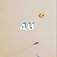 4 U (feat. Amina) - Single - Karl Monroe