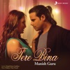 Manish Guru - Tere Bina