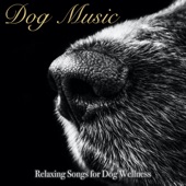 Dog Music: Relaxing Songs for Dog Wellness artwork