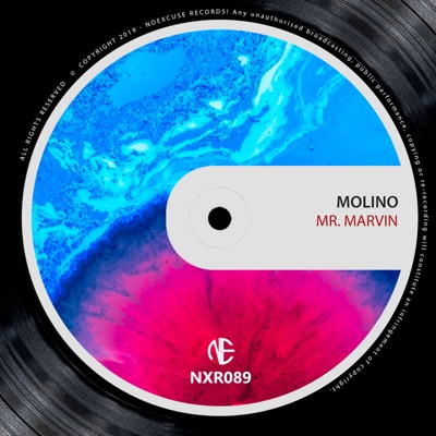 Mr. Marvin - Single