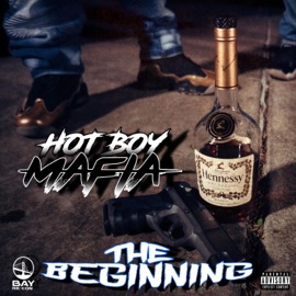 Its' Crazy (feat. Young SG, Bloeskiii, Mike Gee & SlickMobb) Hot Boy Mafia