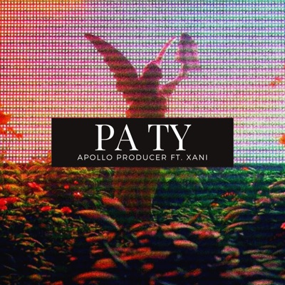 PA TY - Single