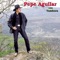 La Vaquilla Colorada - Pepe Aguilar lyrics