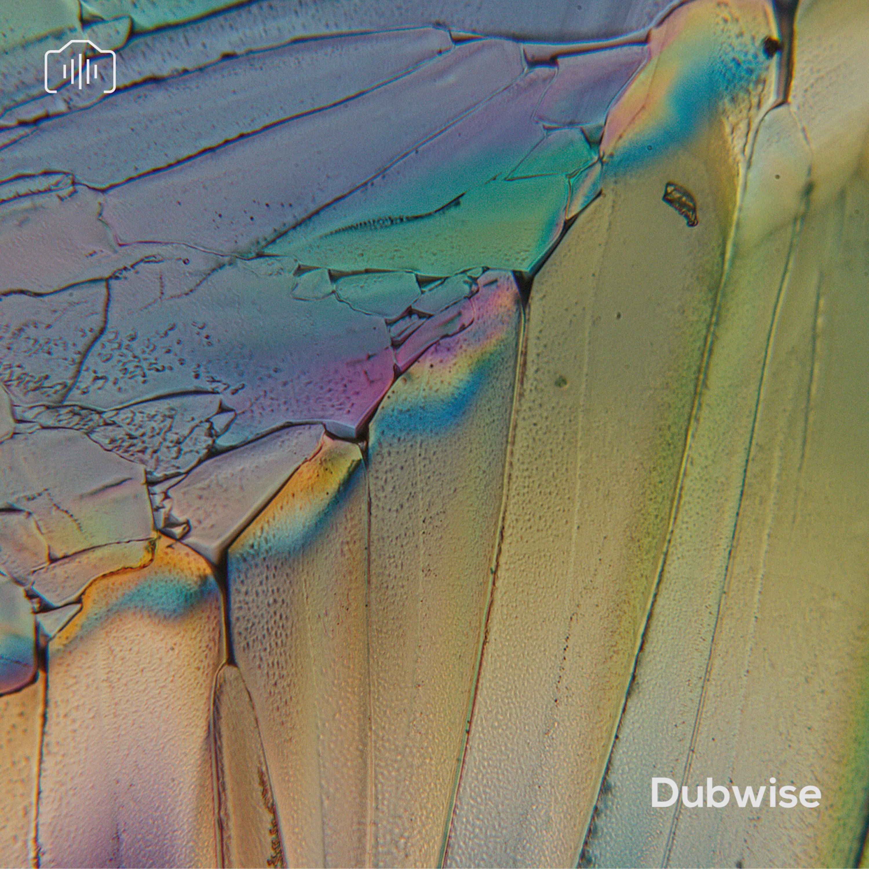 Dubwise - Single