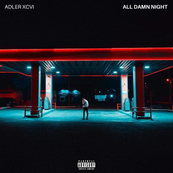 All Damn Night