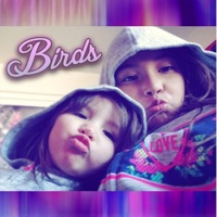 Birds - Single - Audible484