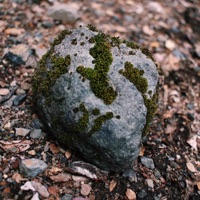 Aquí - Single - Nizlo