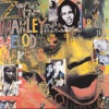 Look Who's Dancing cover art