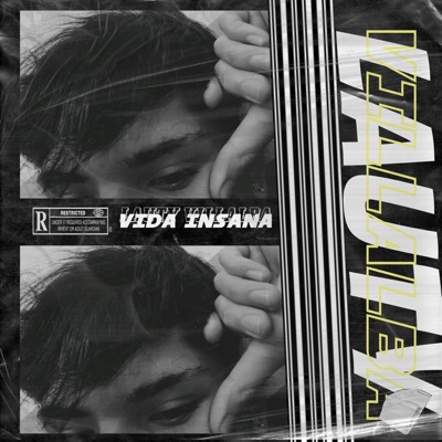 Vida Insana - Single