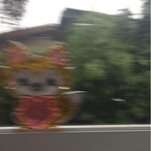 Theres a Fox Outside the Window - EP