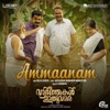 Ammaanam (From "Vaarthakal Ithuvare") - Single