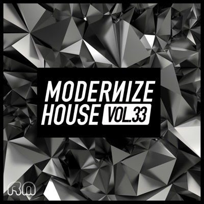 Modernize House, Vol. 33