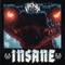Insane - VENM lyrics
