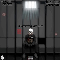 I Need Light (feat. Mentes Diferentes) - Single - Vandit Romes