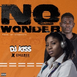 No Wonder Dj Kiss & Emaxee
