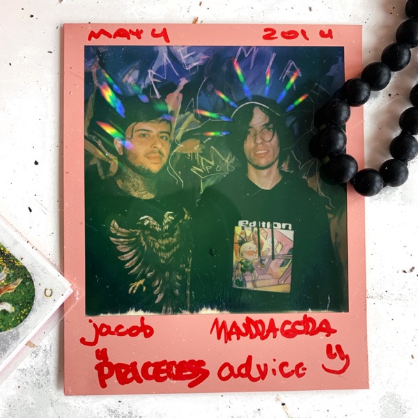 PRICELESS ADVICE - Single